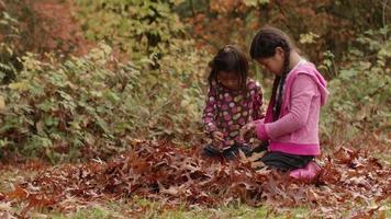 due giovani ragazze in autunno guardano un mucchio di foglie video