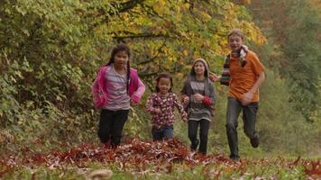 Gruppe von Kindern im Herbst, die Blätter werfen video