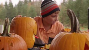 kleiner Junge, der Kürbis für Halloween schnitzt video