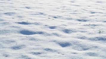 Textur von frischem Winterschnee auf dem Boden video