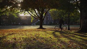 studente universitario nel campus che cammina con la bicicletta video