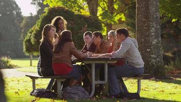 Group of college students on campus meeting outdoors video
