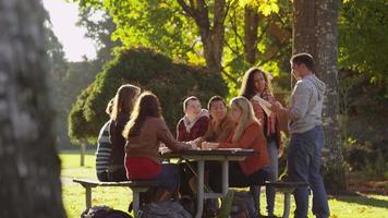 Gruppe von College-Studenten auf dem Campus, die sich im Freien treffen video