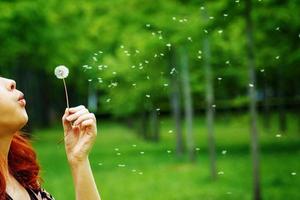 Woman blows away a dandelion among the trees photo