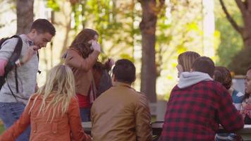 Group of college students on campus meeting outdoors video