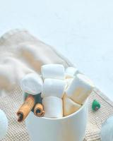 Cup of cocoa with marshmallows and cinnamon photo