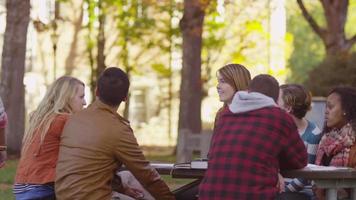 grupo de estudiantes universitarios en el campus reunión al aire libre video