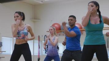 Grupo de personas haciendo clase de ejercicio en el gimnasio. video
