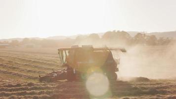 Tracking shot of combine in field at sunset, Willamette Valley Oregon, USA. video