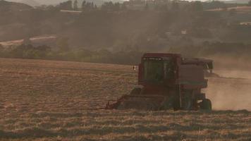 Tracking shot of combine in field at sunset, Willamette Valley Oregon, USA. video