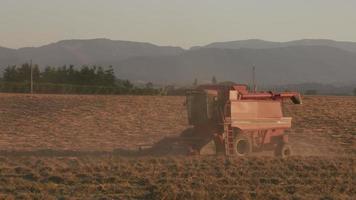 tracking shot van combineren in veld bij zonsondergang, willamette valley oregon, usa. video