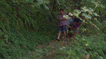 niños en el campamento de verano yendo a una caminata por la naturaleza. video