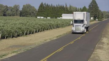 camion semi guida su strada rurale. completamente rilasciato per uso commerciale. video