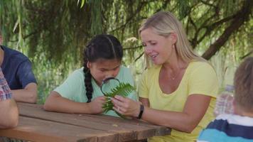 Kids at outdoor school looking at fern with teacher video
