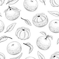 Seamless Pattern of Juicy Mandarins vector