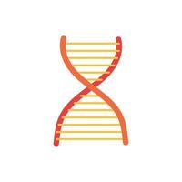 dna molecule structure isolated icon vector