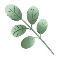 branch with leafs botanical gradient style icon vector