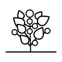 growth of the sown plant with seeds line style icon vector