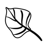 leaf plant line style icon vector