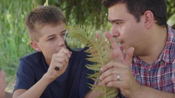 Boy at outdoor school looking at fern with teacher