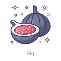 Fig Organic Fruit vector