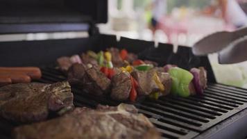 Nahaufnahme von Steaks und Spieße auf dem Grill im Hinterhof? video