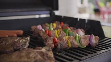 Closeup of steaks and skewers on backyard barbeque grill video