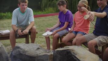 enfants au camp d'été rôtissant des guimauves autour d'un feu de camp video