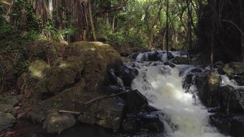 cachoeira na floresta tropical, oahu, havaí