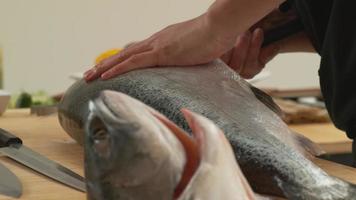 chef de sushi découpant du poisson saumon