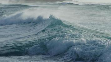 les vagues de l'océan s'écrasent au ralenti sur la rive nord d'oahu, hawaii video