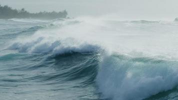 ondas do mar batendo em câmera lenta na costa norte de oahu, havaí video