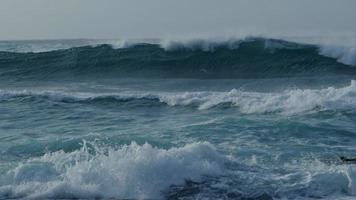 onde dell'oceano che si infrangono al rallentatore sulla costa nord di oahu, hawaii video