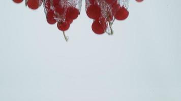 Slow motion shot of red currants splashing into water, shot with Phantom Flex 4K camera. video