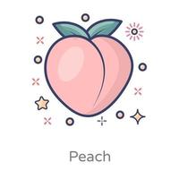 Peach Deciduous Food vector