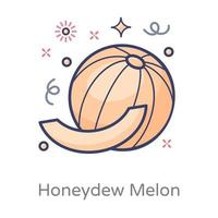 Honeydew Melon Fruit vector
