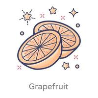 Grapefruit Citrus Fruit vector