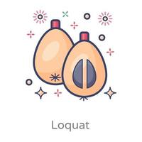 Loquat Healthy Fruit vector