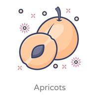 Apricots Healthy Fruit vector