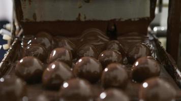 Chocolate truffles on a conveyor belt at candy factory video