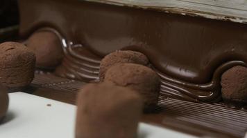 Chocolate truffles on a conveyor belt at candy factory video