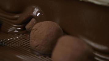 truffes au chocolat sur un tapis roulant à l'usine de bonbons