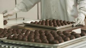 Chocolate truffles sorted onto trays at candy factory video