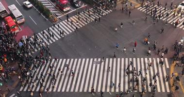 Tokyo, Japan circa-2018.  High angle view of people walking across street at Shibuya Crossing in Tokyo, Japan. video