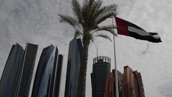United Arab Emirates UAE Flag video