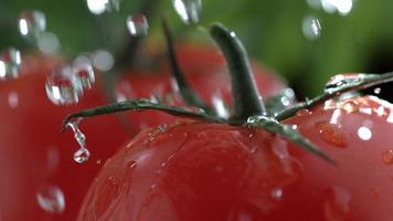 extreme close-up van water spatten op tomaat in slow motion geschoten op phantom flex 4k met 1000 fps video