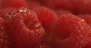 l'eau s'égoutte sur la framboise en super slow motion. tourné sur une caméra haute vitesse phantom flex 4k. video