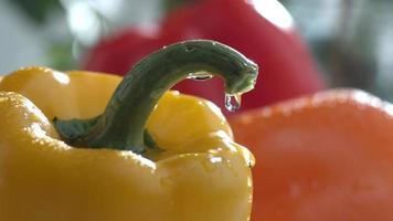 Water drips on bell peppers in slow motion shot on Phantom Flex 4K at 1000 fps video