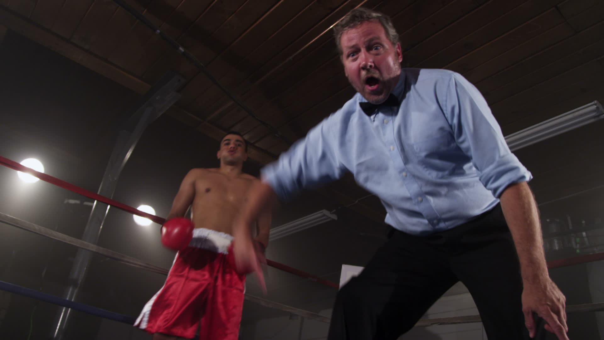 Boxing referee counting out boxer 2574670 Stock Video at Vecteezy