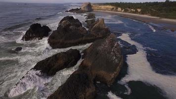 luchtfoto van de kust van Oregon, zeehondenrots video